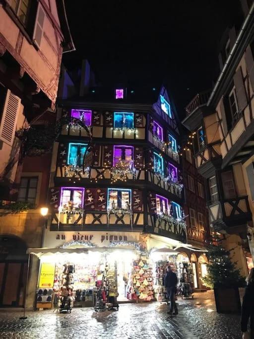 Colmar,Appart Chaleureux 2 Pas Centre Avec Jardin ภายนอก รูปภาพ