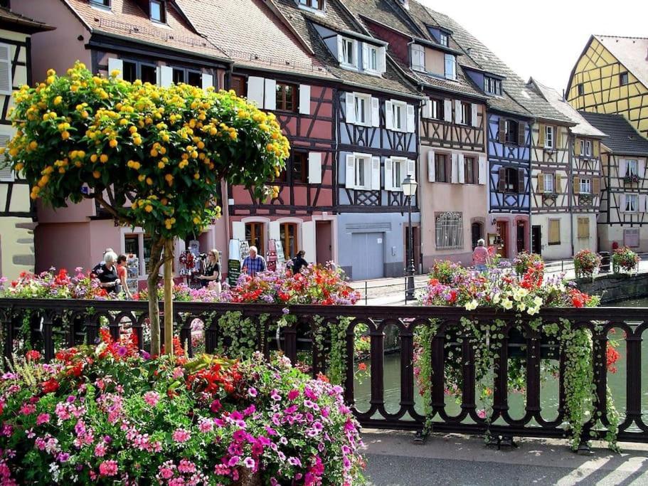 Colmar,Appart Chaleureux 2 Pas Centre Avec Jardin ภายนอก รูปภาพ